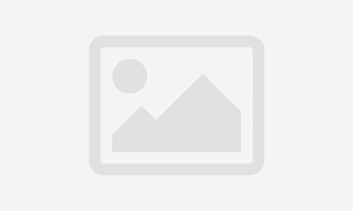 Conferencia magistral: La vinculación entre ejes articuladores y los proyectos en la NEM