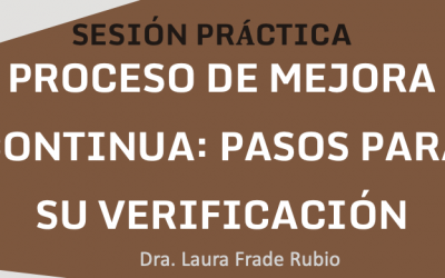 Sesión práctica: Proceso Mejora Continua: pasos para su verificación